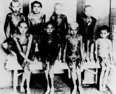 Auschwitz-experimentbarn