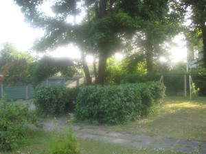 Morgon över bersån
