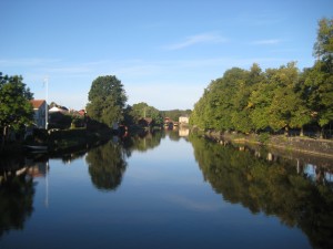 IMG_6595