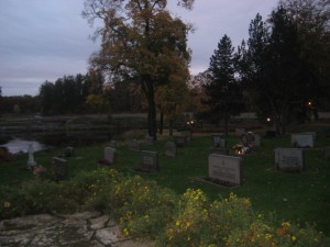 IMG_7779