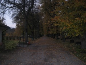 IMG_7791