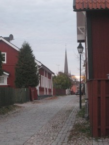 IMG_7793