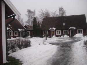 IMG_0202