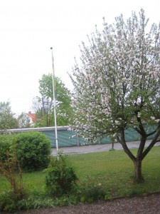 IMG_3755 (2)
