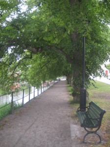 IMG_5437 (2)