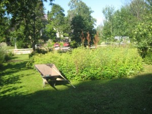 IMG_7295 (2)