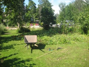 IMG_7306 (2)