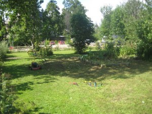 IMG_7314 (2)