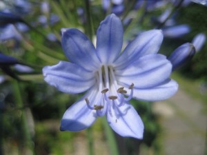 IMG_7321 (2)