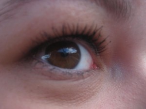 IMG_7762 (2)