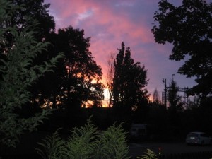 IMG_7805 (2)