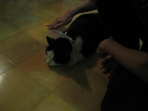 IMG_7814 (2)