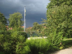IMG_7836 (2)