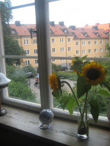 IMG_8482 (2)