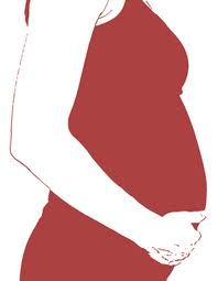 Gravid 1