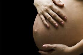 Gravid 2