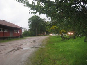 IMG_8879 (2)