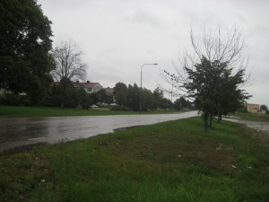 IMG_8881 (2)