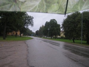 IMG_8882 (2)