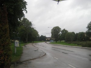 IMG_8889 (2)