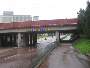 IMG_8893 (2)