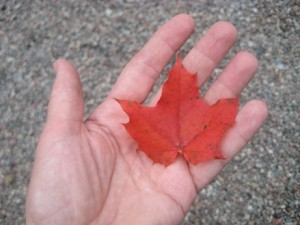 IMG_9042 (2)