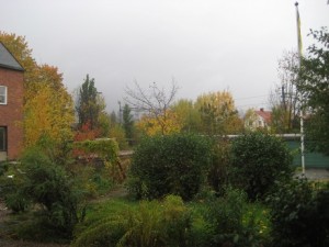 IMG_0163 (2)