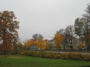 IMG_0494 (2)