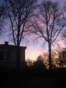 IMG_0756 (5)