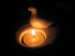 IMG_1761 (2)