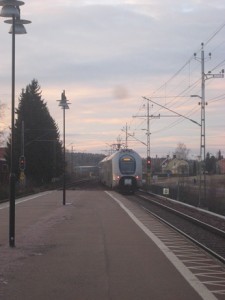 IMG_2397 (2)