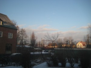 IMG_2678 (2)