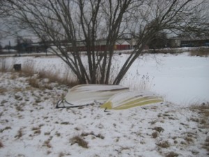 IMG_3037 (2)