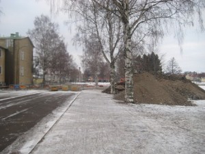 IMG_3041 (3)