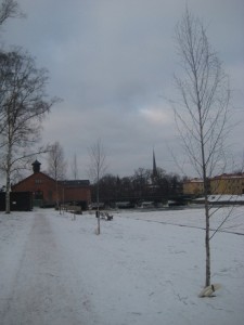 IMG_3046 (3)
