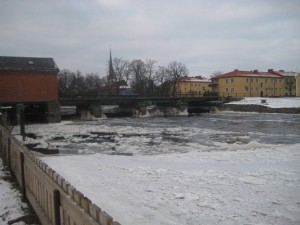 IMG_3048 (2)