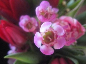 IMG_3157 (2)