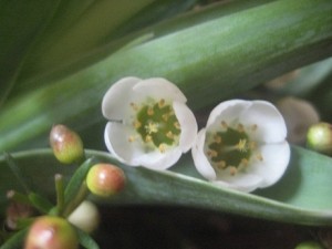 IMG_3158 (2)