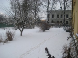 IMG_3184 (3)