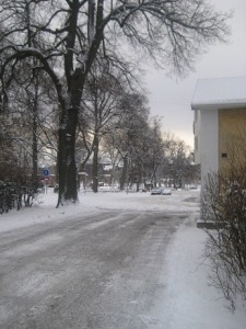 IMG_3187 (2)