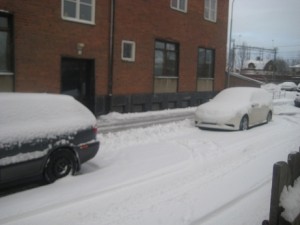 IMG_3192 (3)