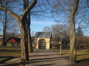 IMG_3639 (2)