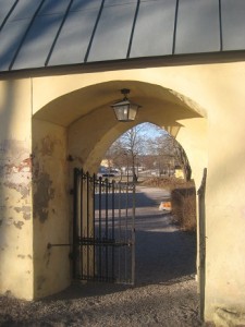 IMG_3641 (2)