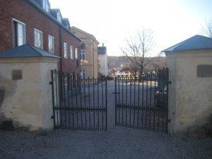 IMG_3664 (3)