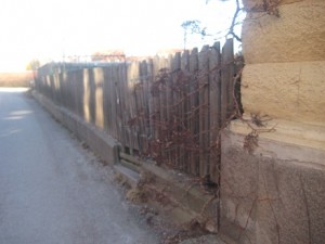 IMG_3665 (3)