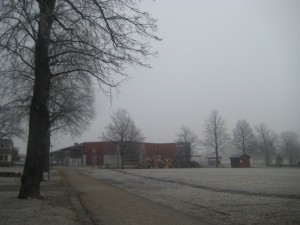 IMG_3763 (2)