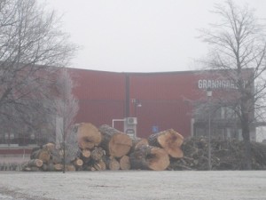 IMG_3764 (3)