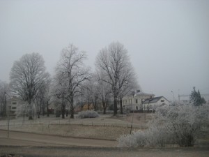 IMG_3769 (3)