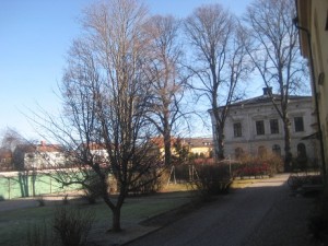 IMG_3775 (2)