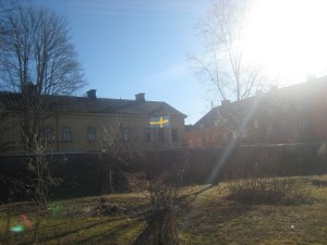 IMG_3909 (3)